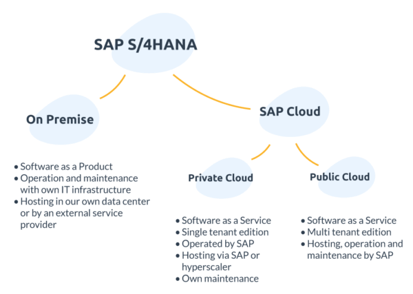 SAP S/4HANA Cloud Public vs. Private Cloud Explained Simply